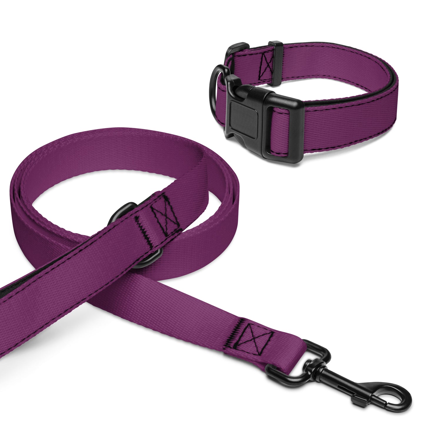 Pet collar & leash