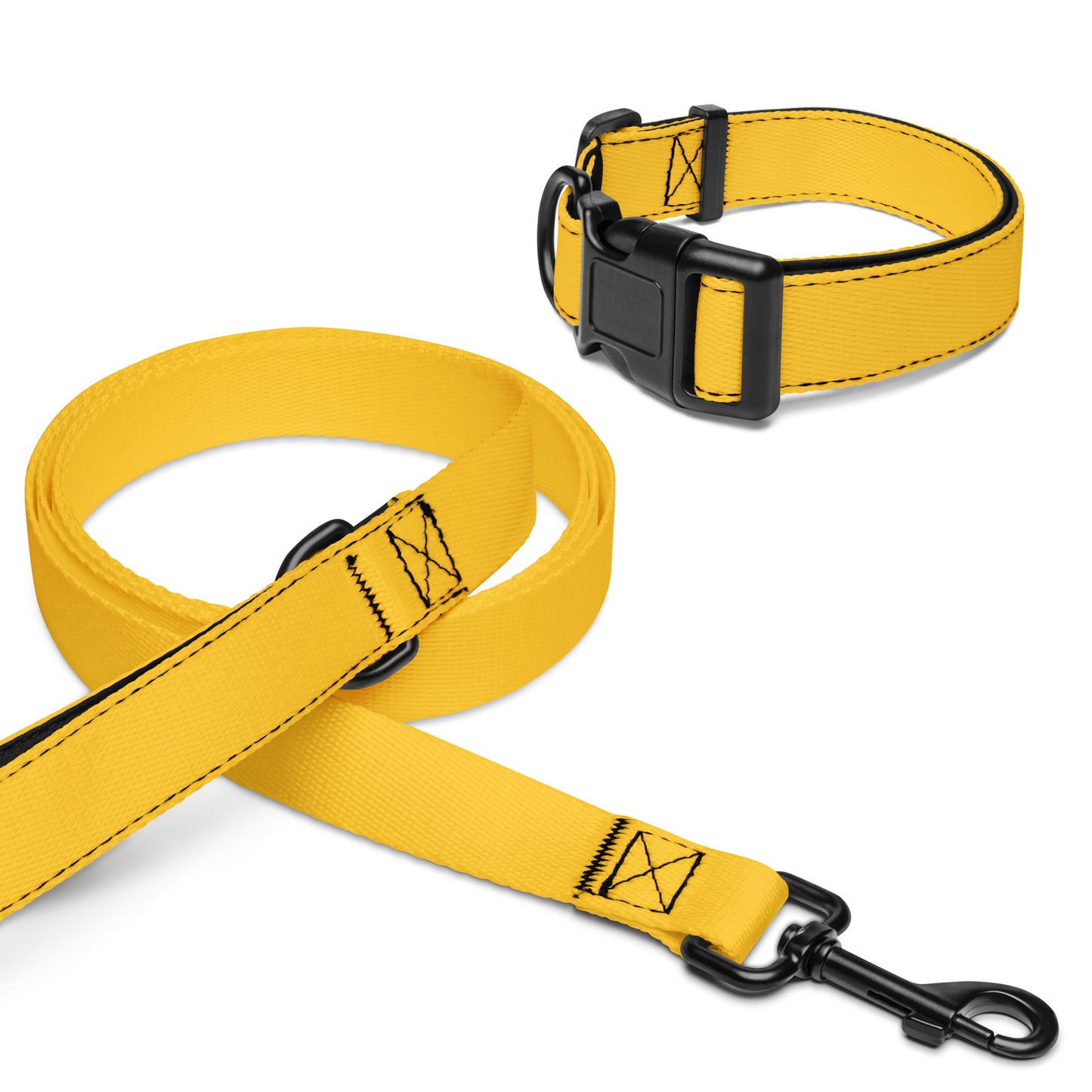 Pet collar & leash