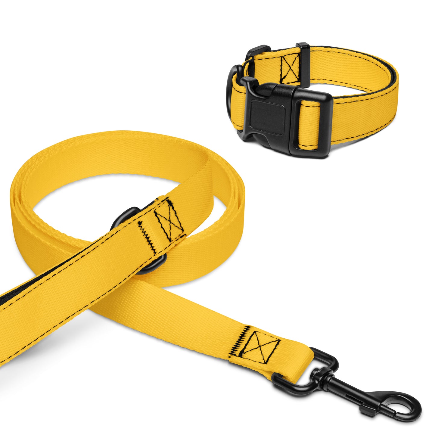 Pet collar & leash