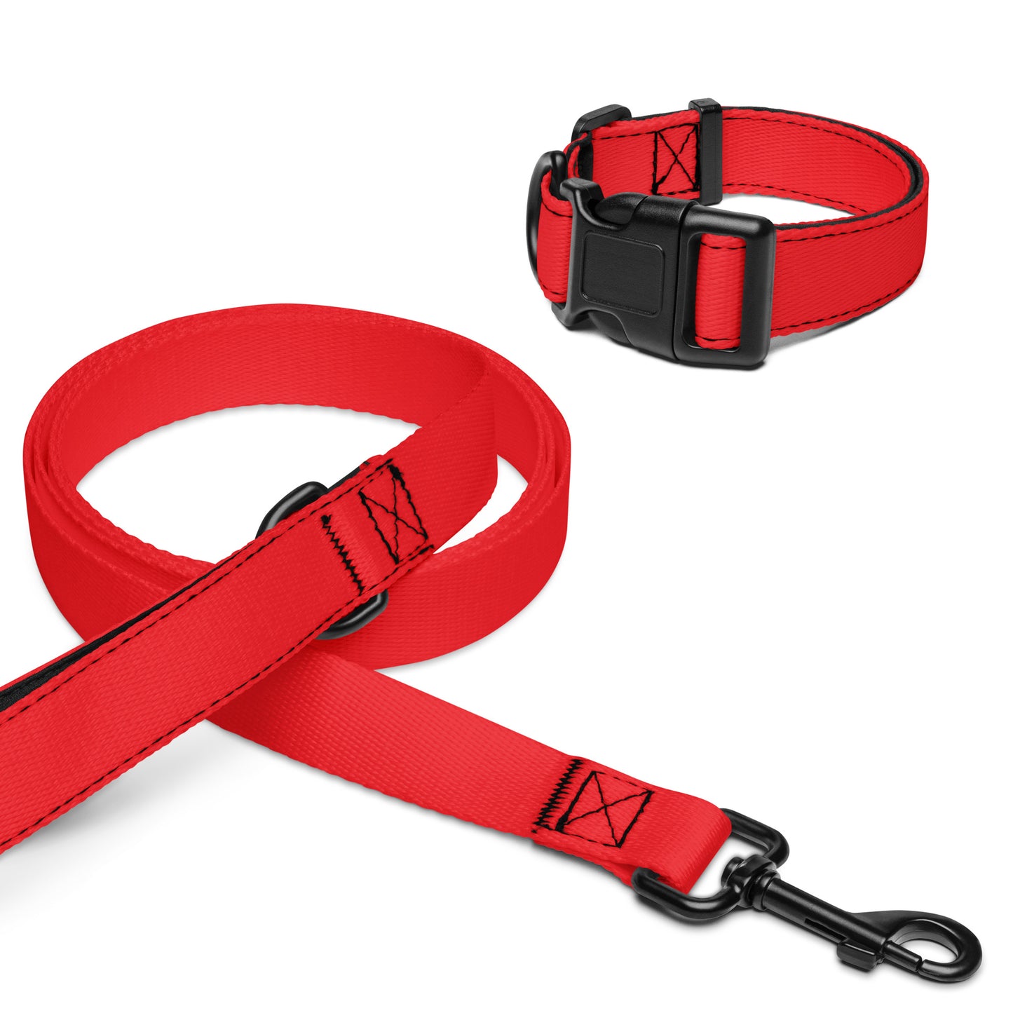 Pet collar & leash